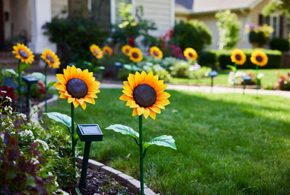 🌻 Premium Garden Decoration 2026 — Elegant Solar Lights ✨